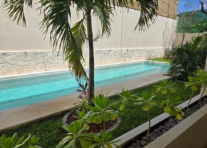 Rooftop Pool And Access